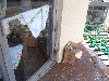 IMG_0225.jpg